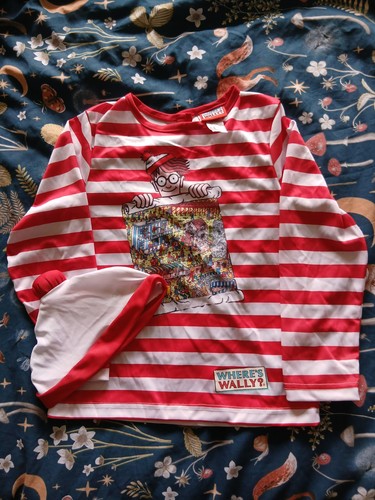 Where wally costume - costume,